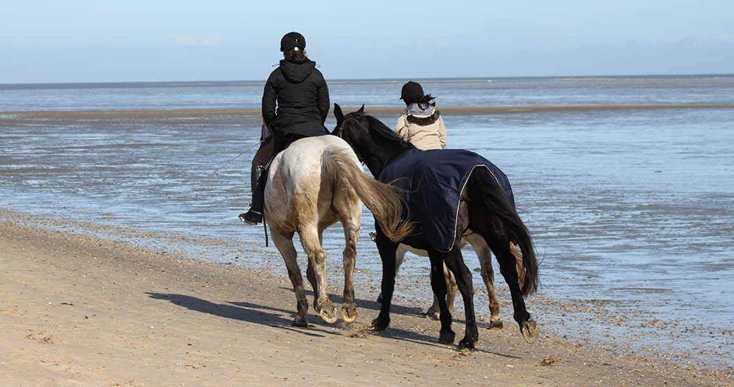 Reiten an der Nordseeküste